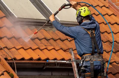 Démoussage et hydrofuge de toiture à Génissac